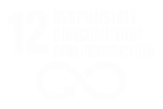 SDG 12 — Responsible Consumption & Production